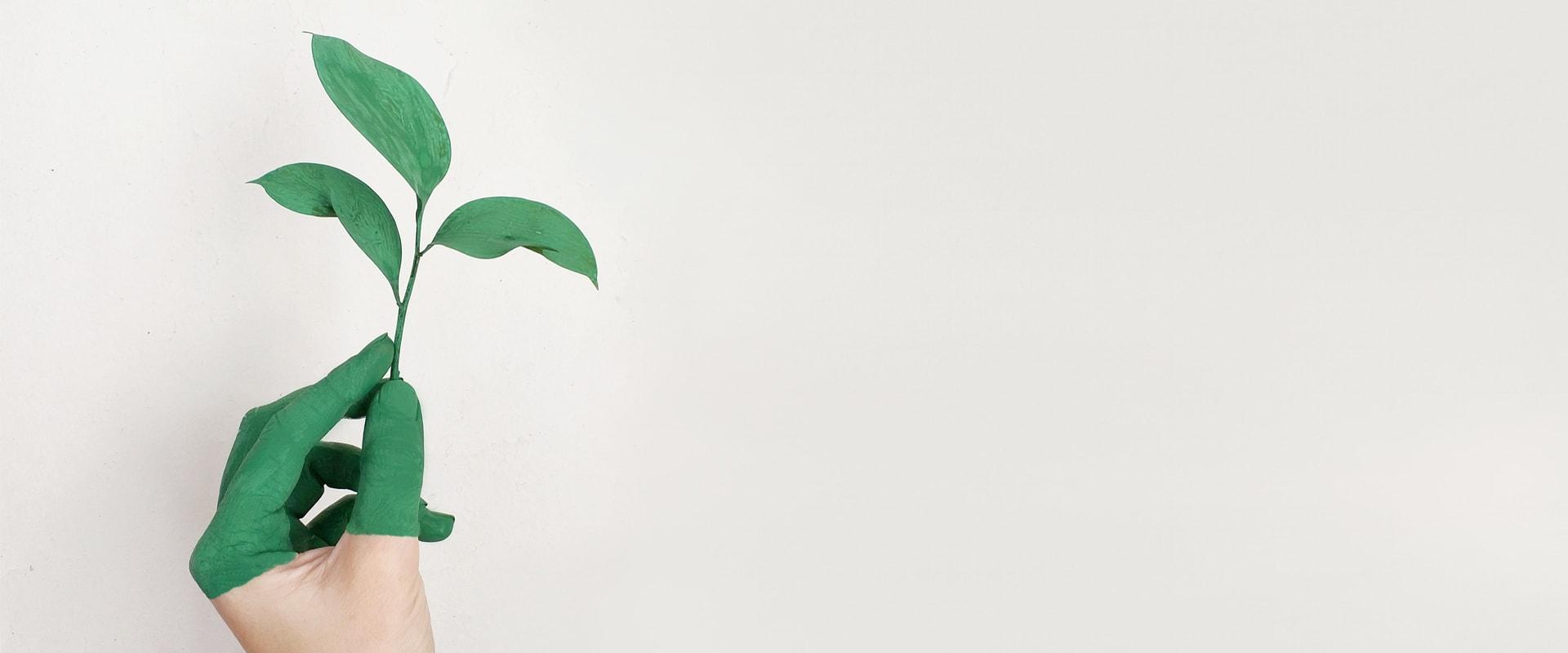 Ecofriendly: ecco come avere una piscina a basso consumo e con meno sprechi