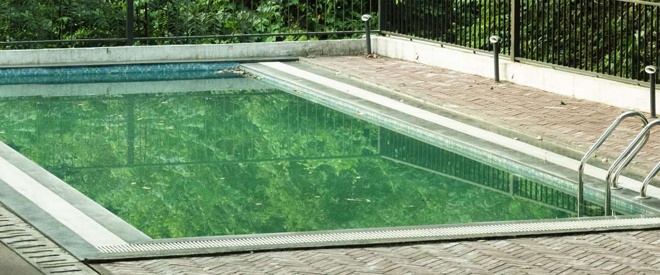 Alghe in piscina: cosa fare?